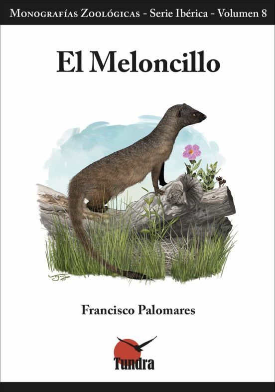 El meloncillo