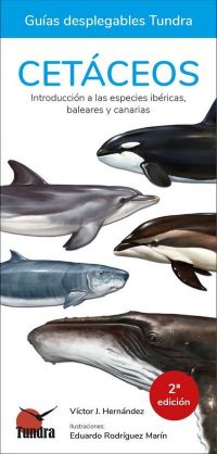 Cetáceos