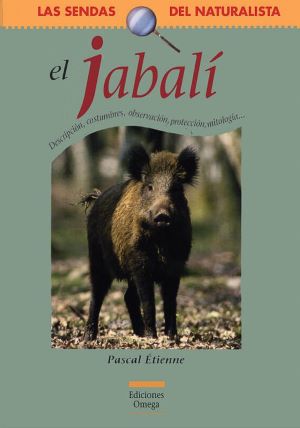 El jabalí