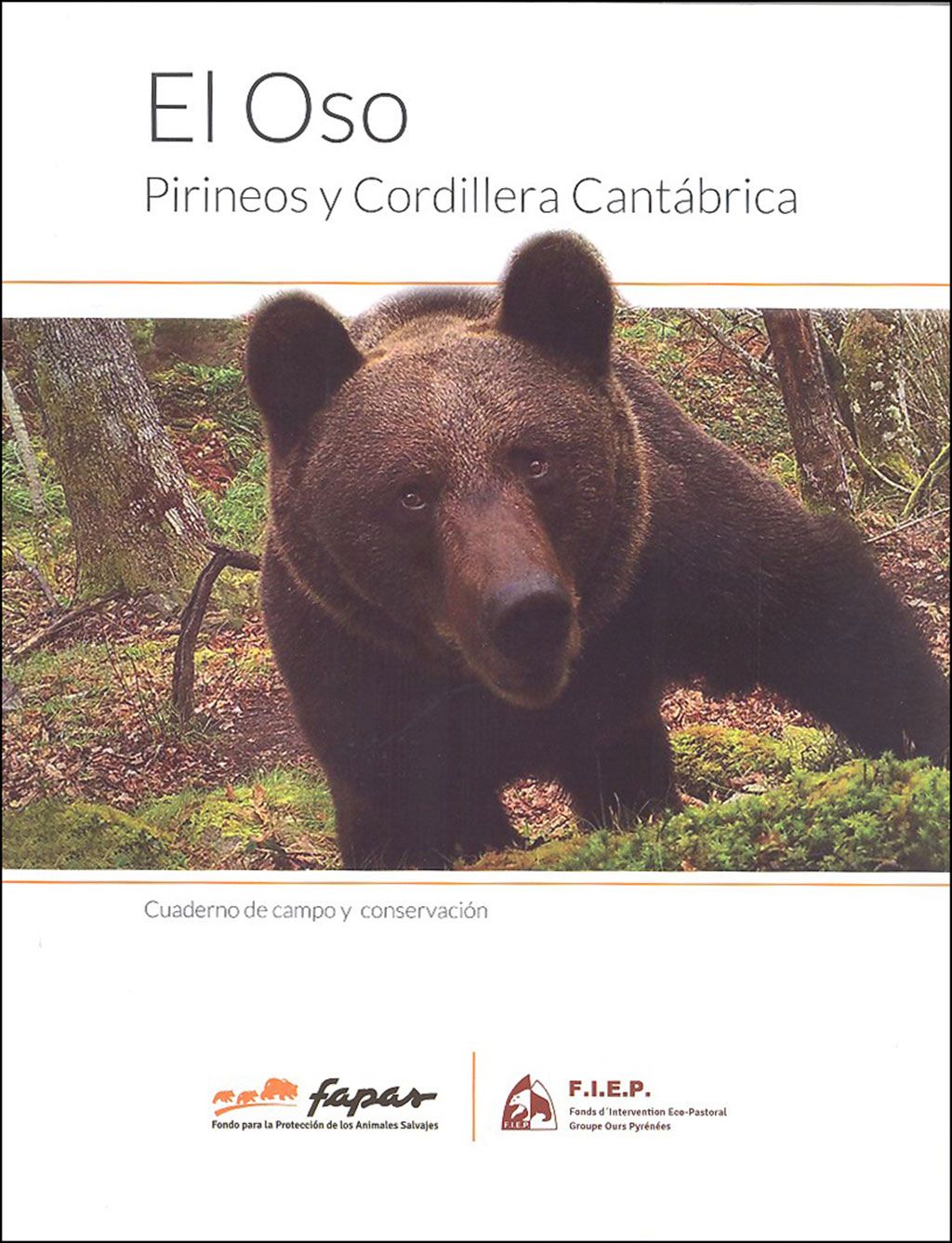 El Oso. Pirineos y Cordillera Cantábrica