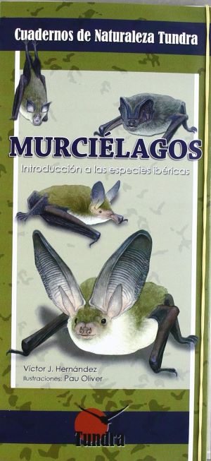 Murciélagos