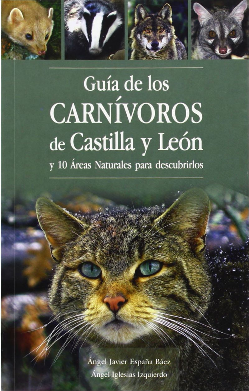 Guía de los carnívoros de Castilla y León y 10 áreas Naturales para descubrirlos