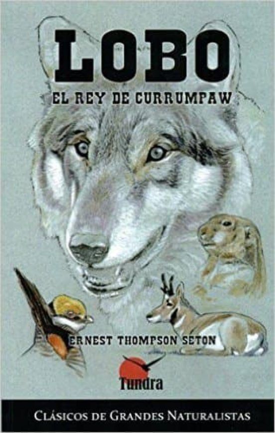 Lobo. El Rey de Currumpaw