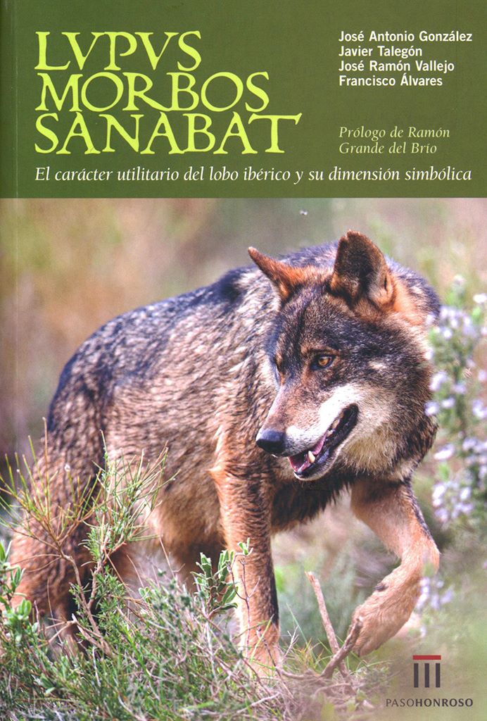 Lupus Morbos Sanabat