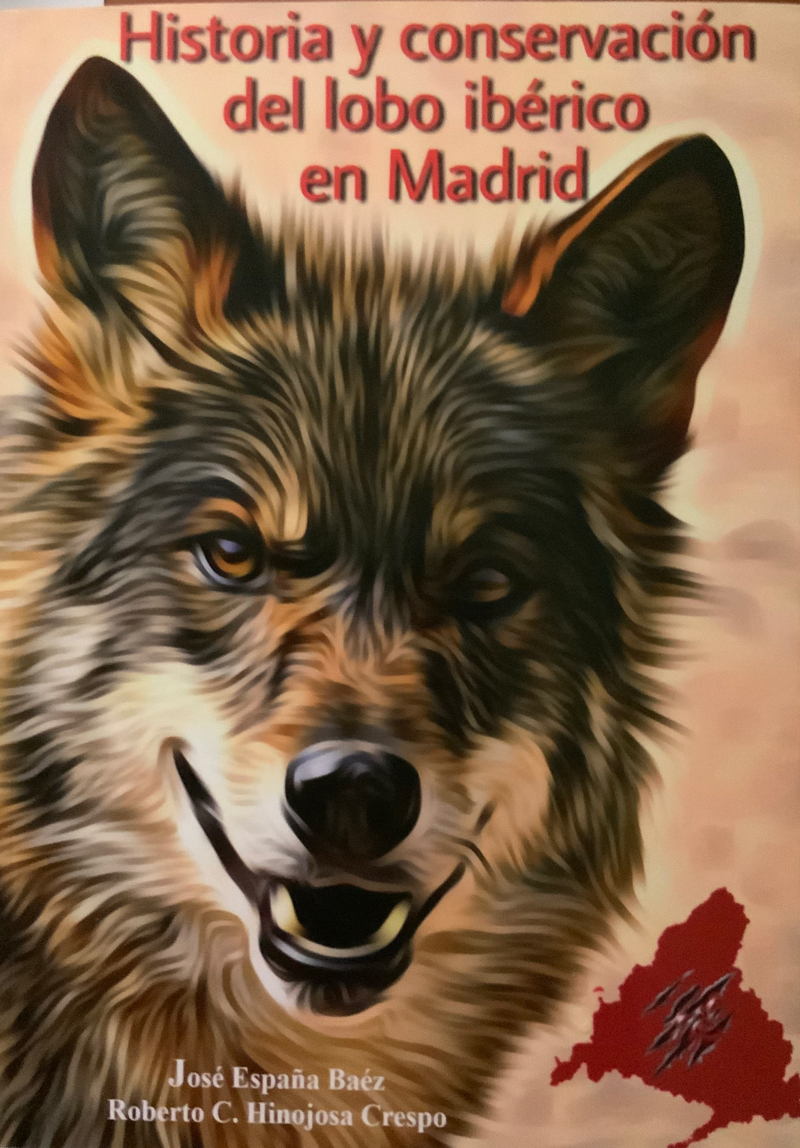 Historia y conservación del lobo ibérico en Madrid