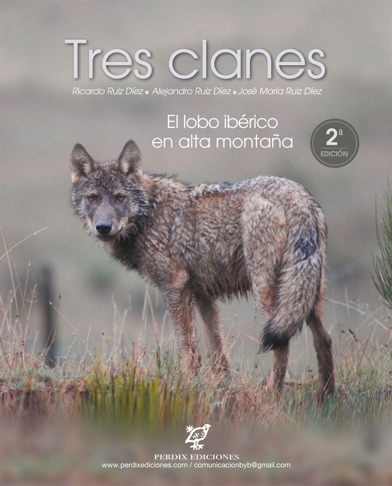 Tres clanes. El lobo ibérico en alta montaña