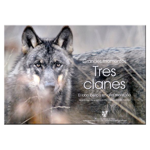 Grandes momentos: Tres clanes. El lobo ibérico en alta montaña