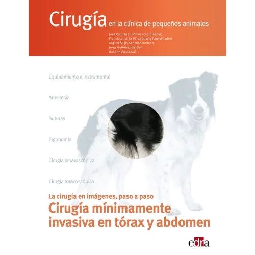 Cirugía en la clínica de pequeños animales