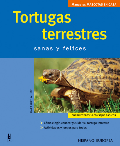 Tortugas terrestres