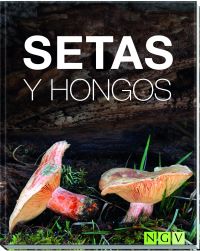 Click para ampliar Setas y hongos