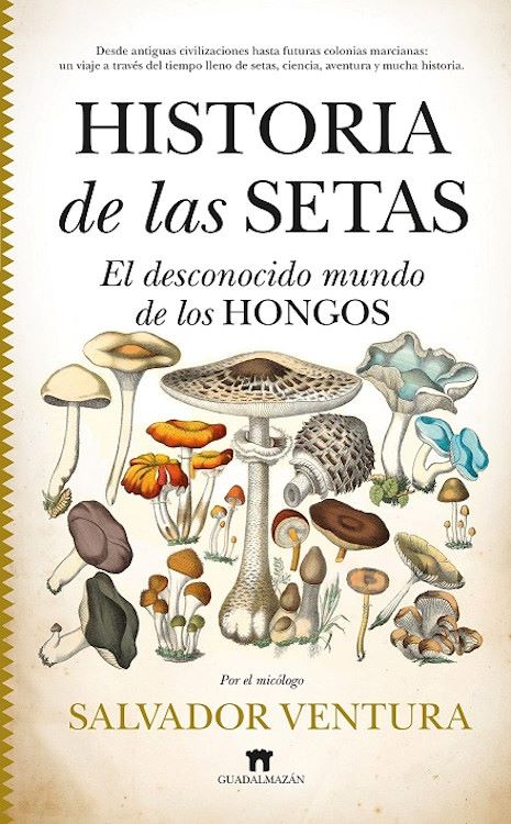 Historia de las setas
