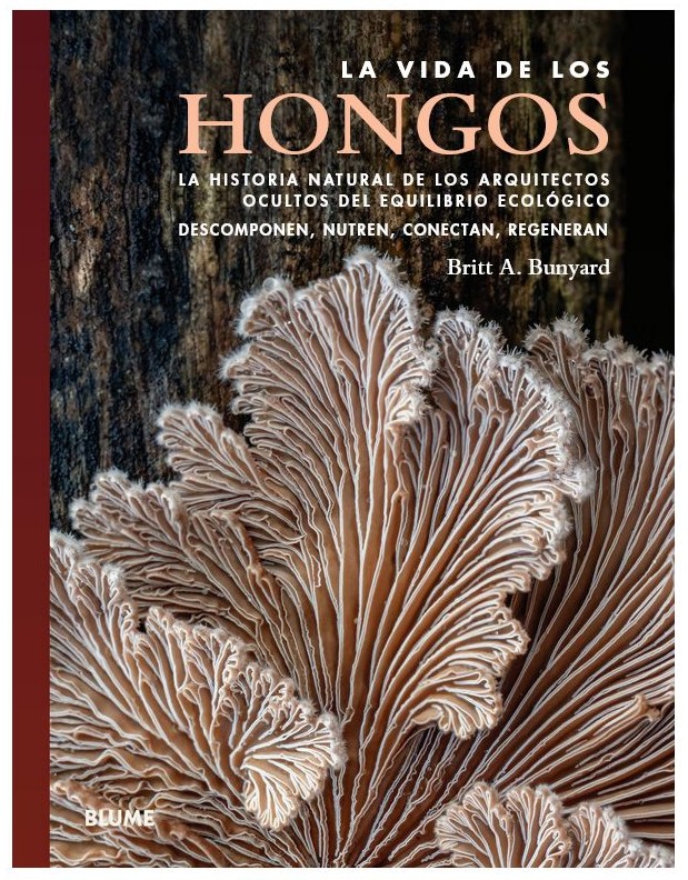 La vida de los hongos