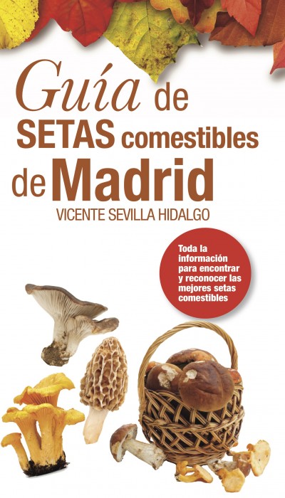 Guía de setas comestibles de Madrid