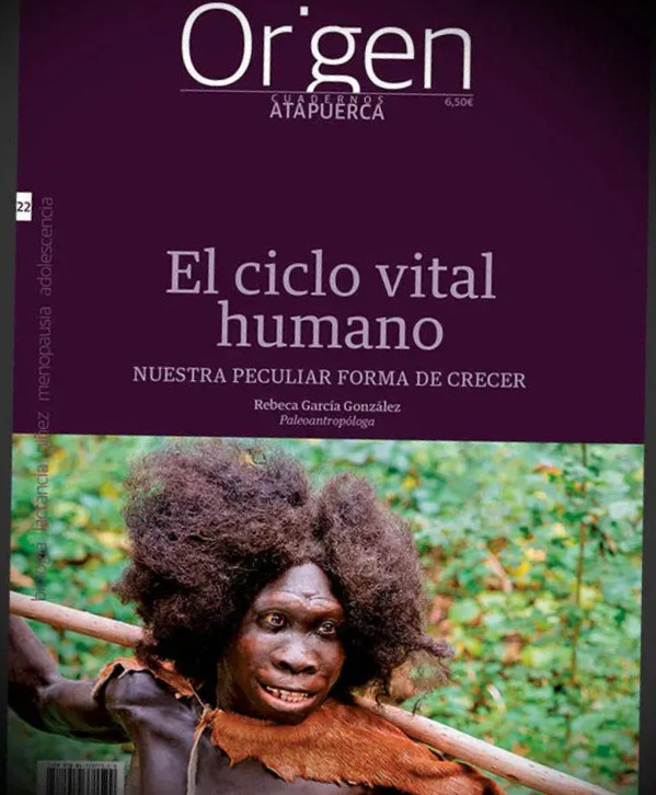 El ciclo vital humano