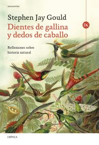 Click para ampliar Dientes de gallina y dedos de caballo