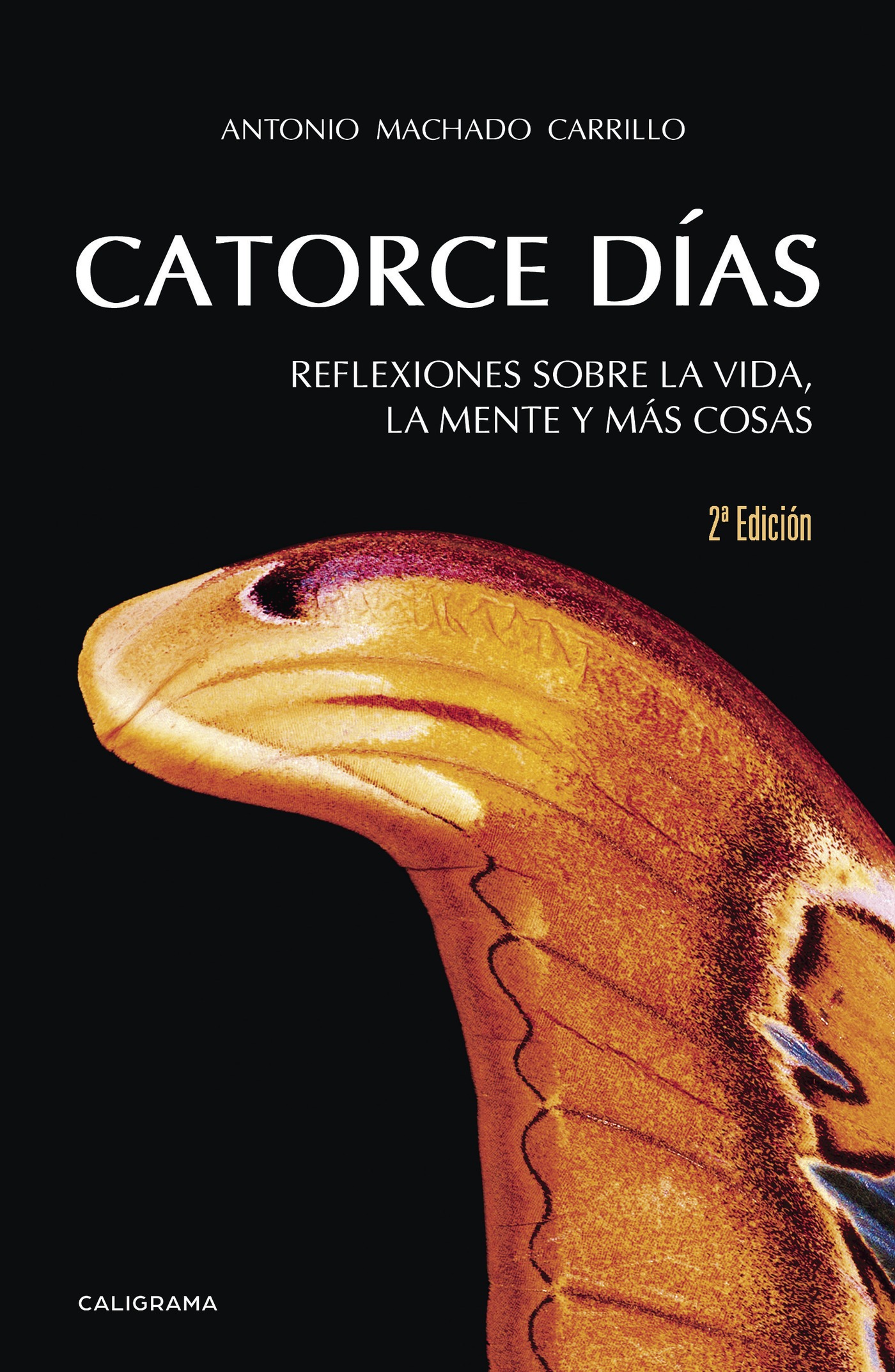 Catorce días. Reflexiones sobre la vida,  la mente y más cosas