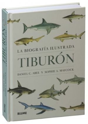 Tiburón