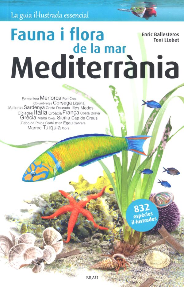 Fauna i flora de la mar Mediterrània