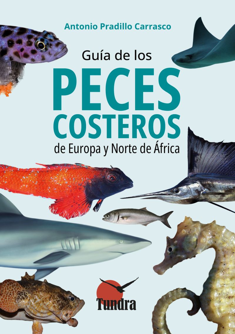 Guía de los peces costeros de Europa y Norte de África