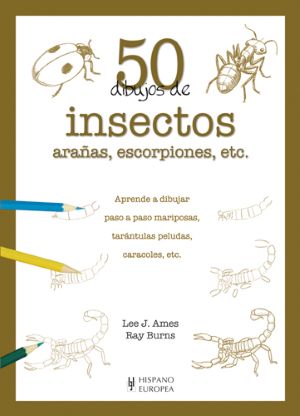 50 dibujos de insectos, arañas, escorpiones, etc.