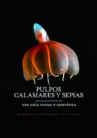 Pulpos, calamares y sepias
