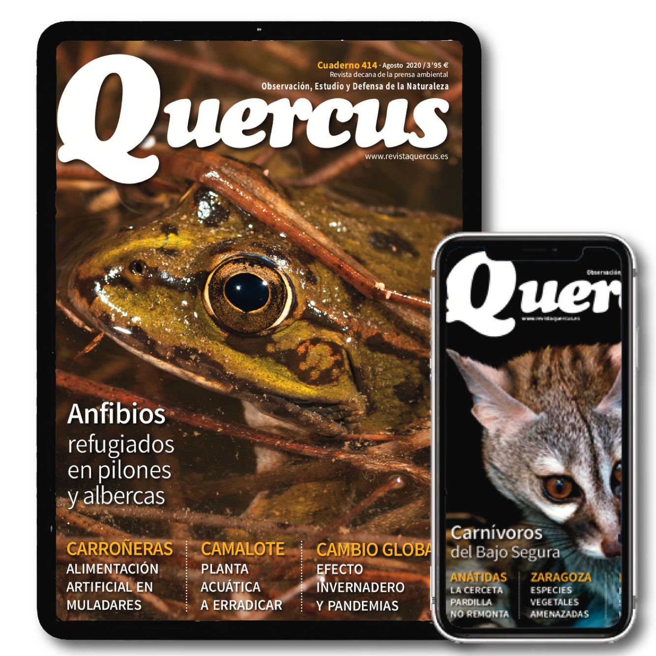 Suscripción Quercus d