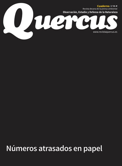 Quercus 256