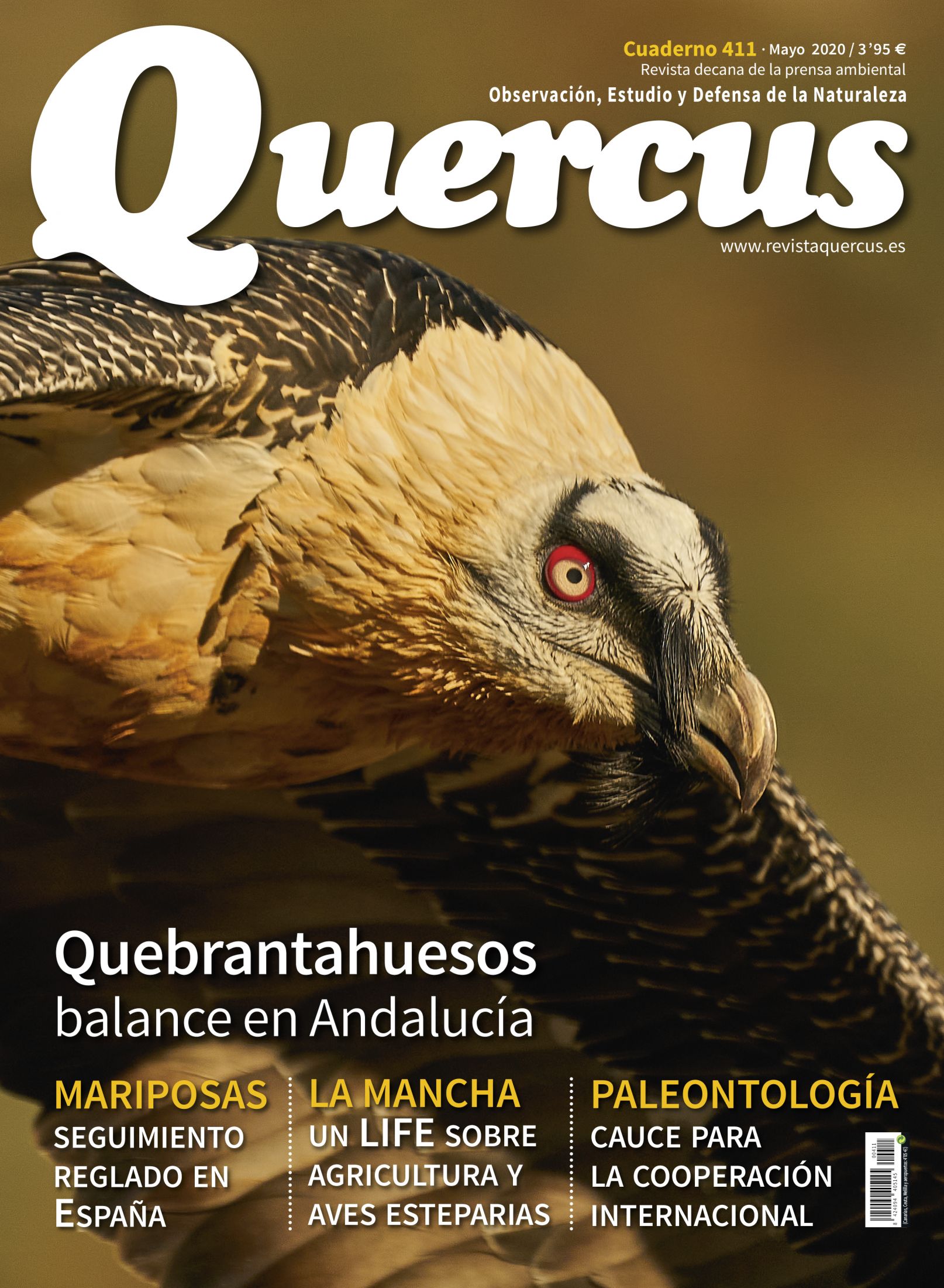 Click para ampliar Quercus 411