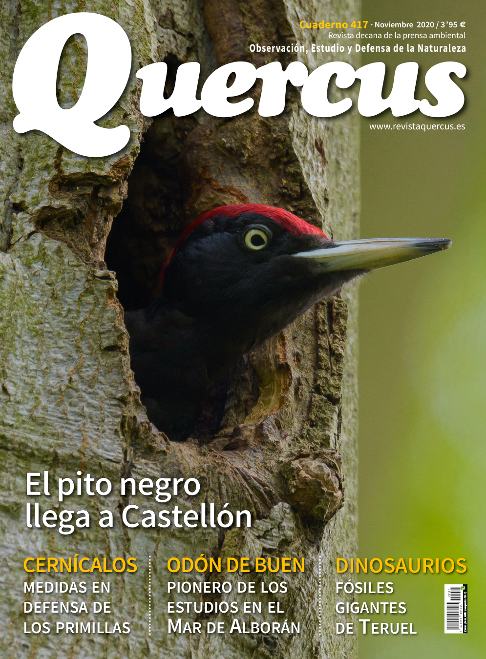 Quercus 417