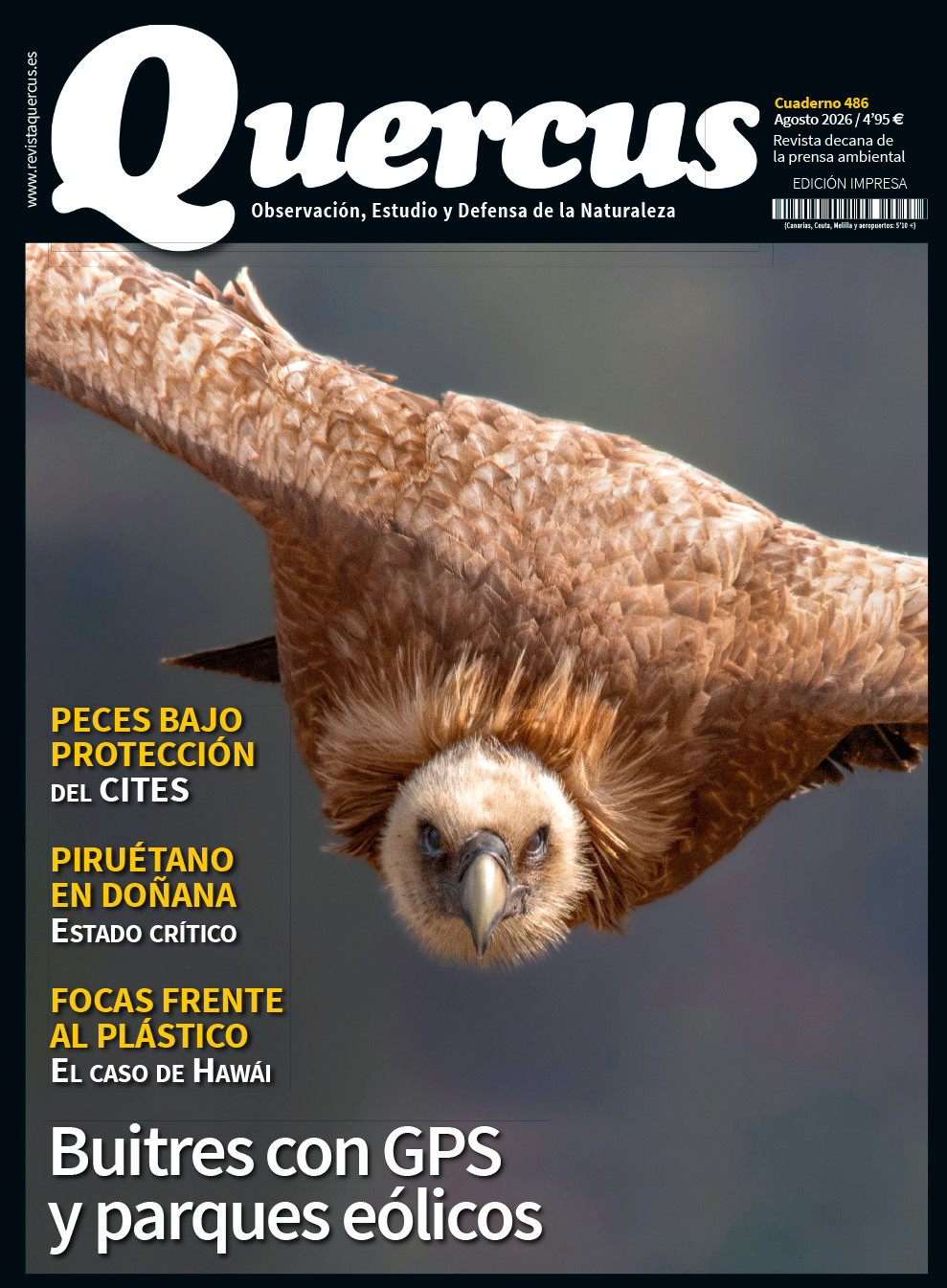 Quercus 486
