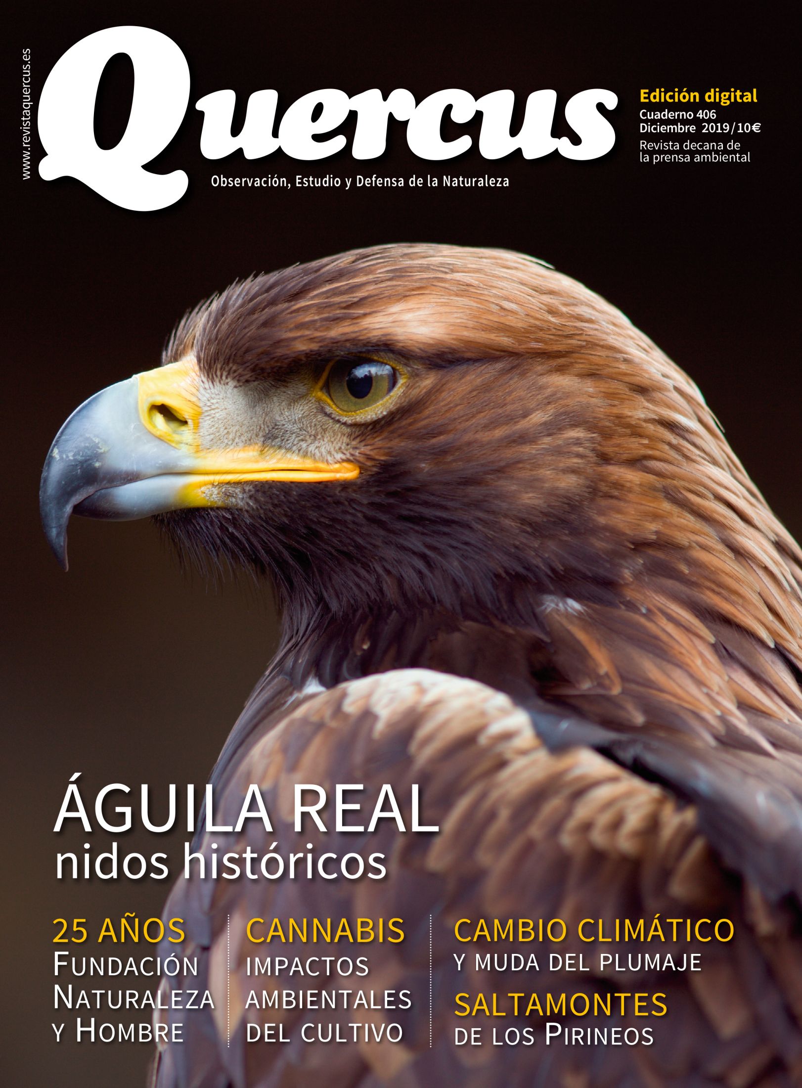 Click para ampliar Quercus 406 digital