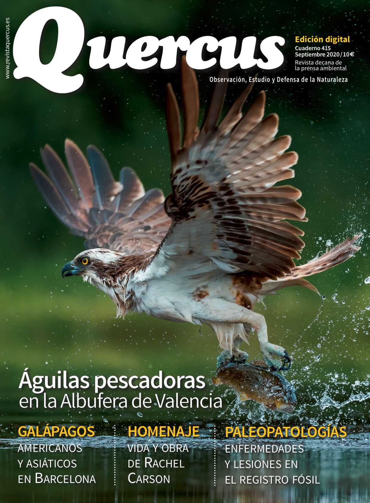 Click para ampliar Quercus 415 Digital PDF