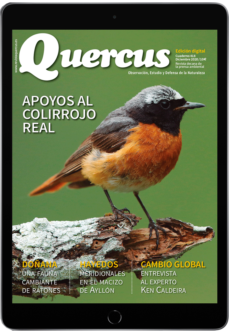 Quercus 418 PDF Digital