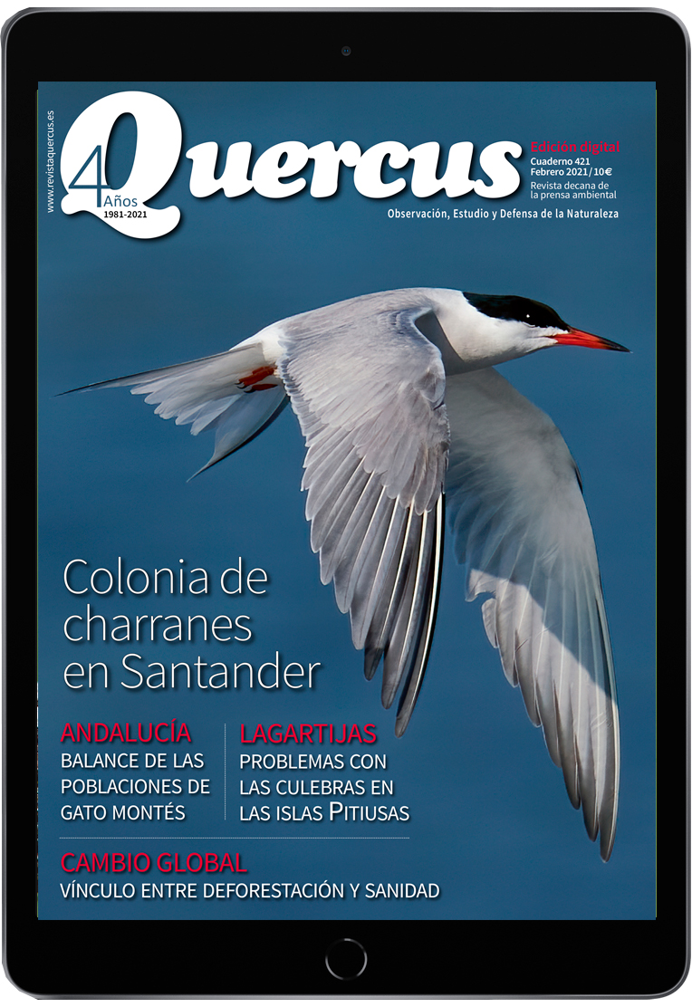 Click para ampliar Quercus PDF Digital