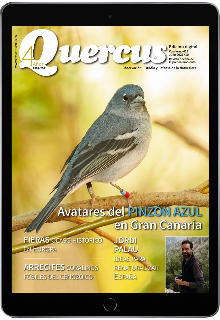 Quercus 425 PDF Digital