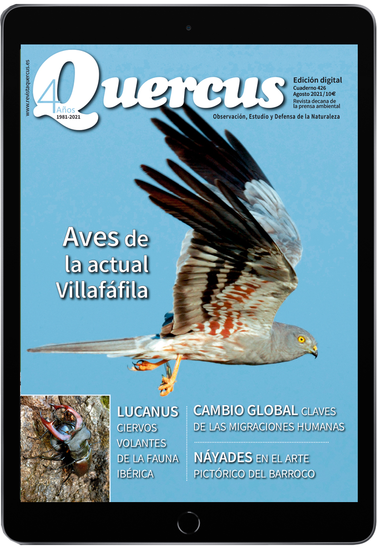 Click para ampliar Quercus 426 PDF Digital