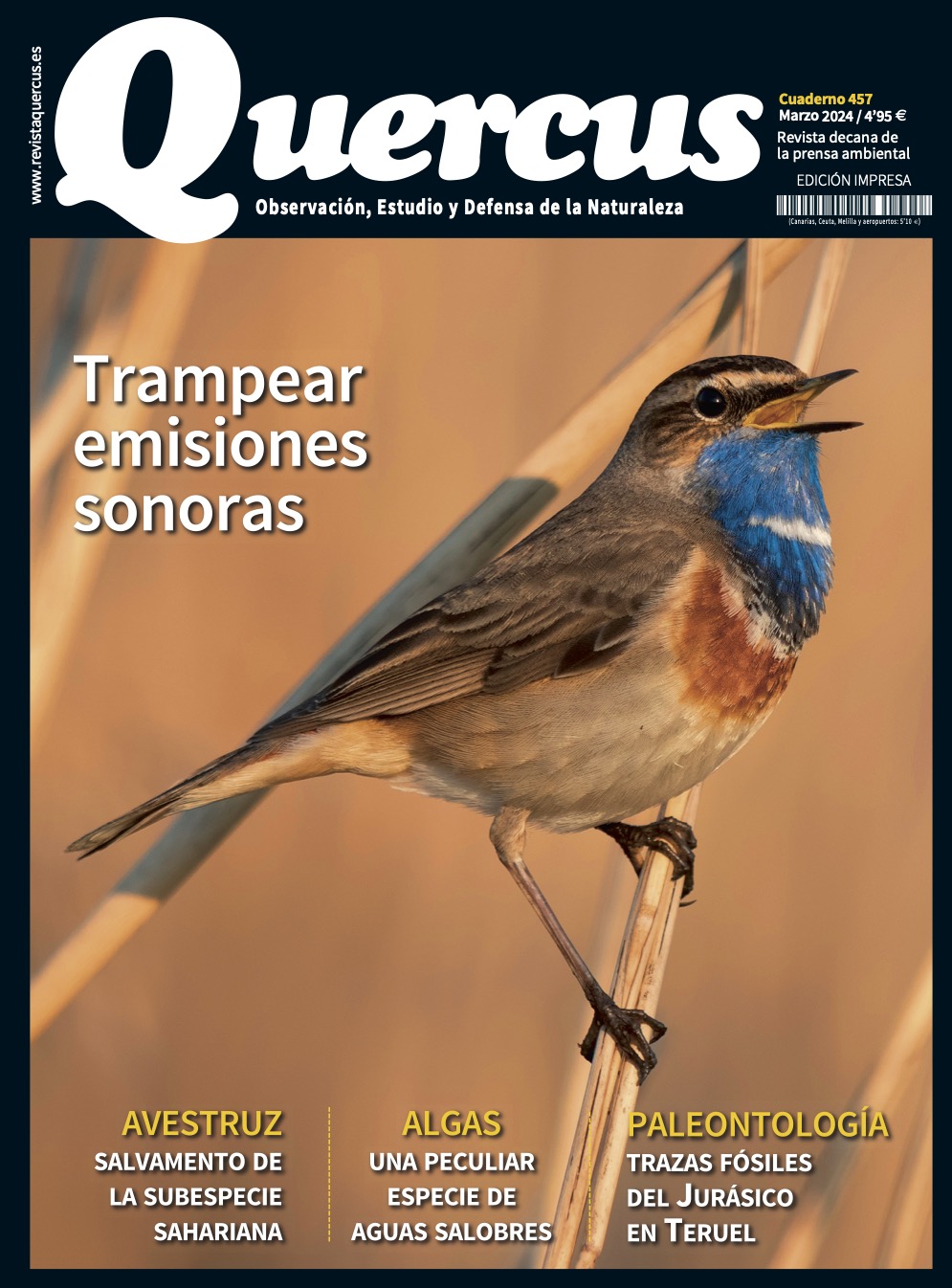 Click para ampliar Quercus 457