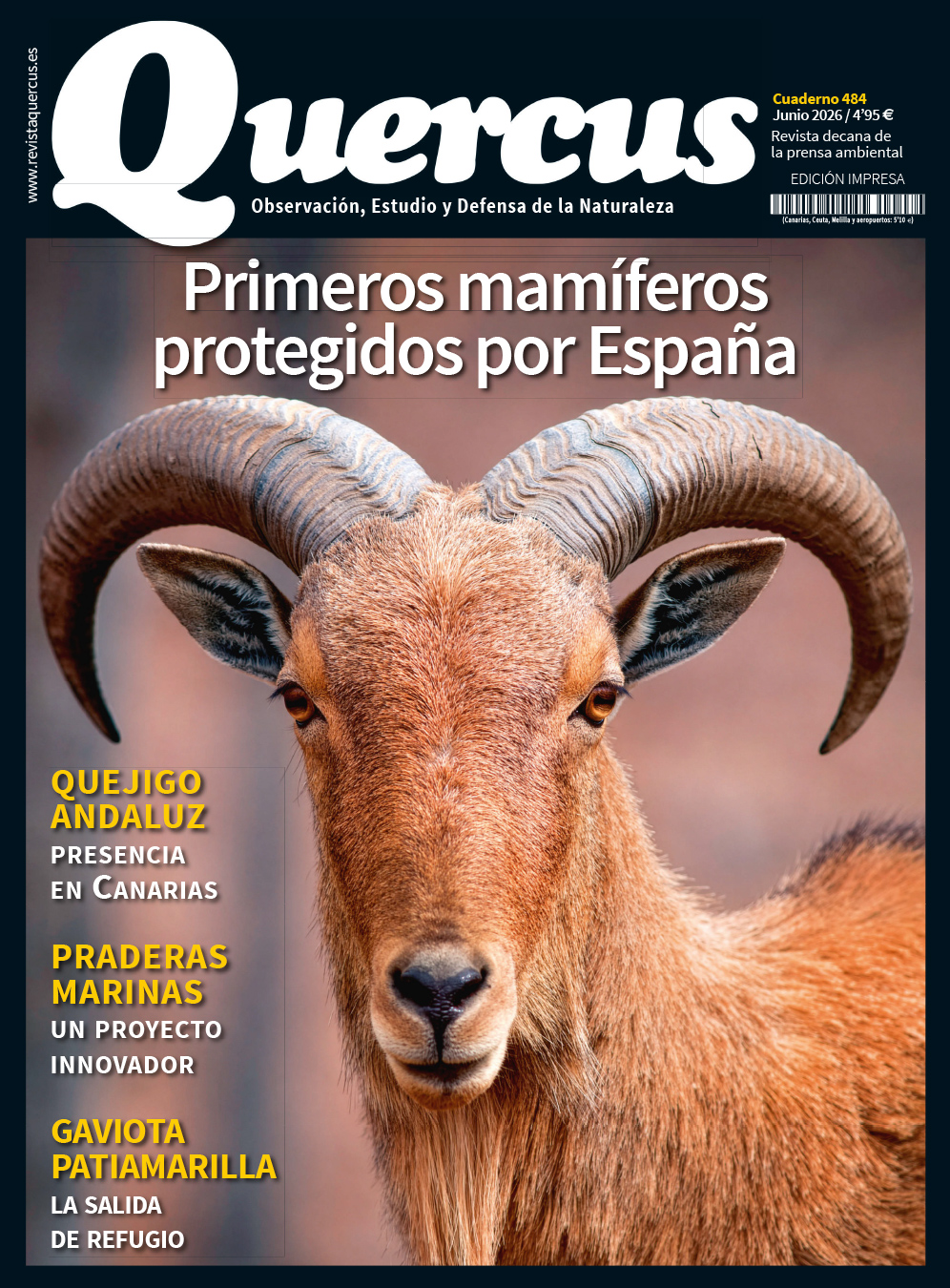 Quercus 484