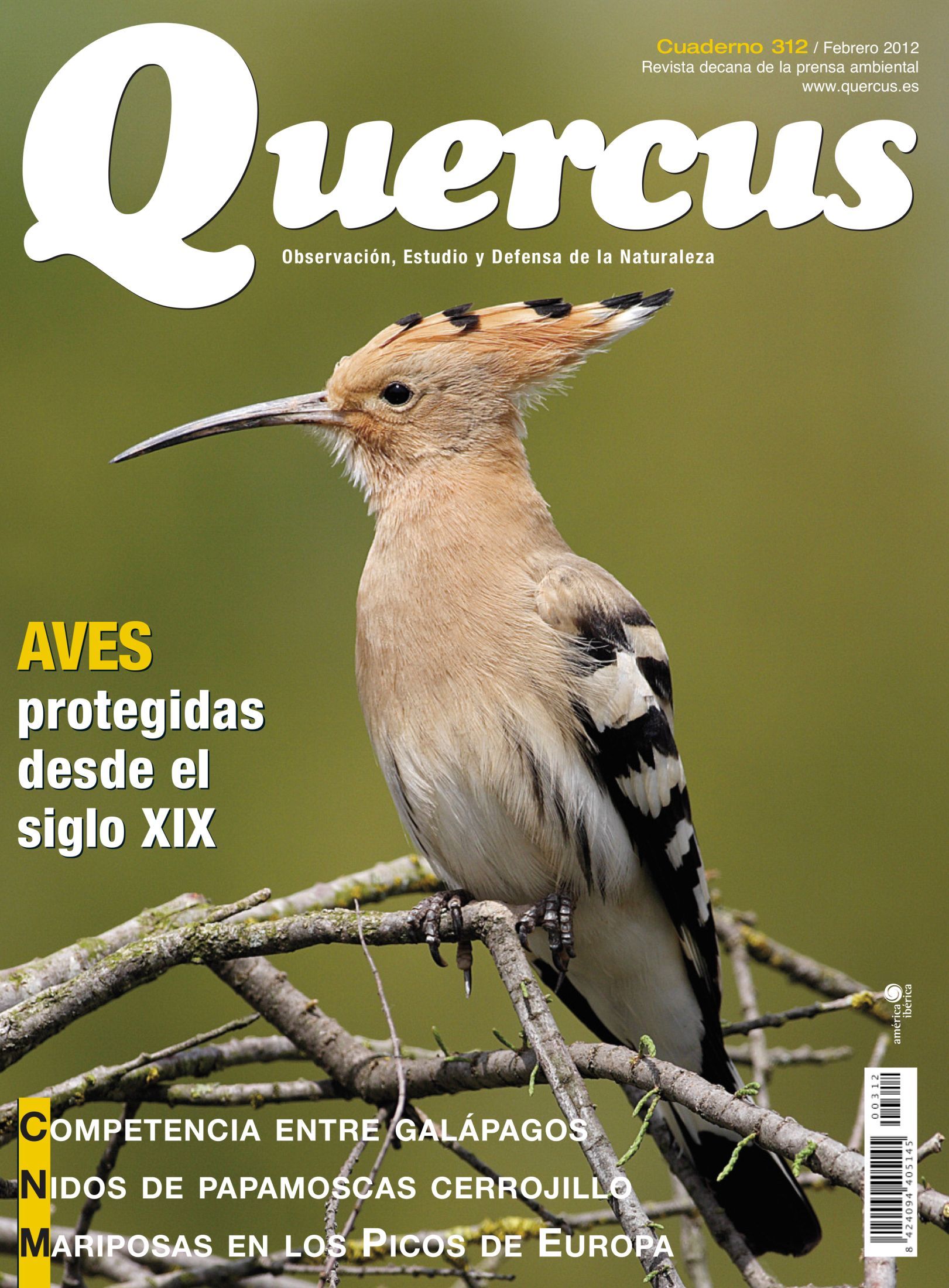 Quercus 312