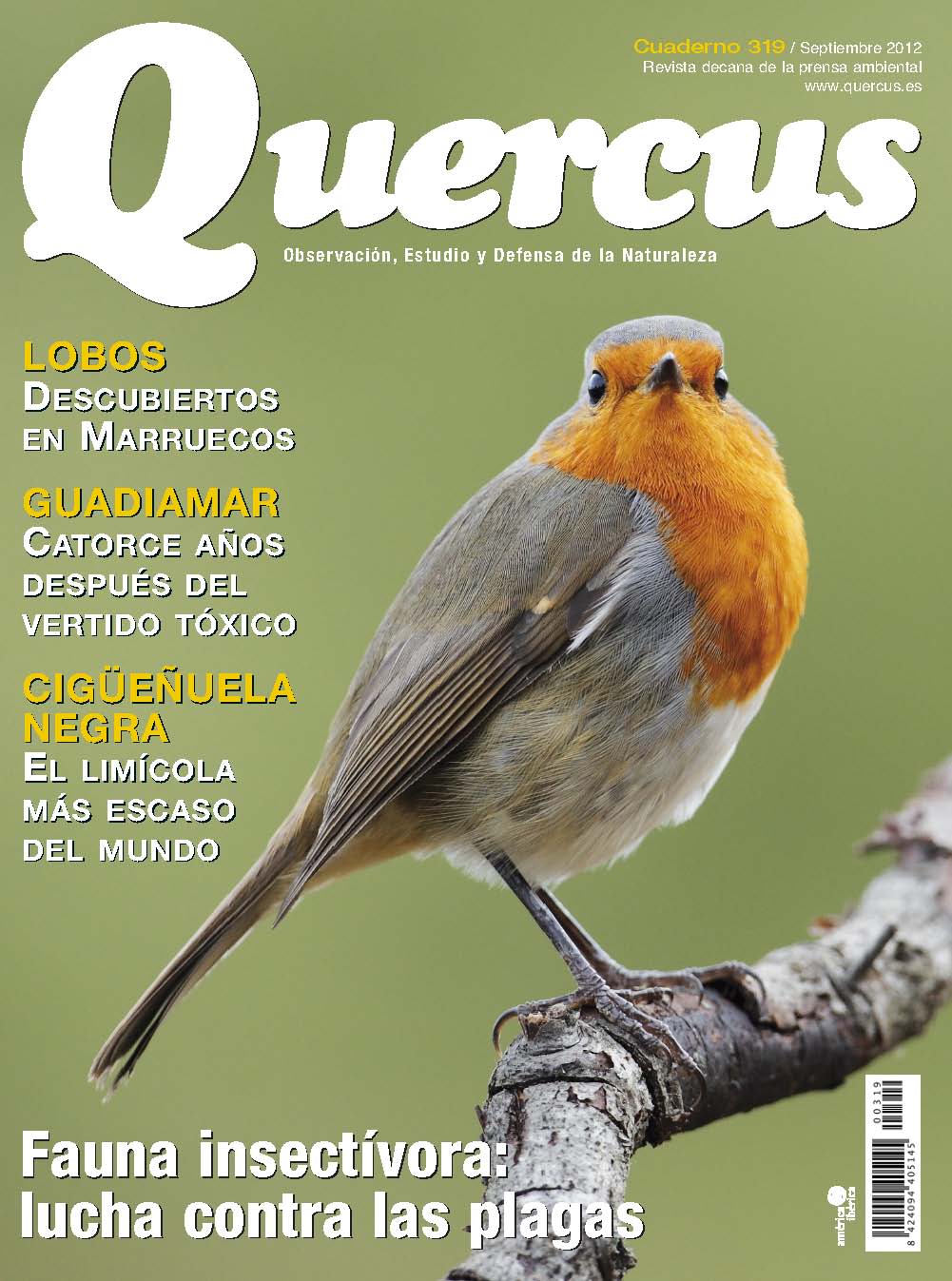 Click para ampliar Quercus 319