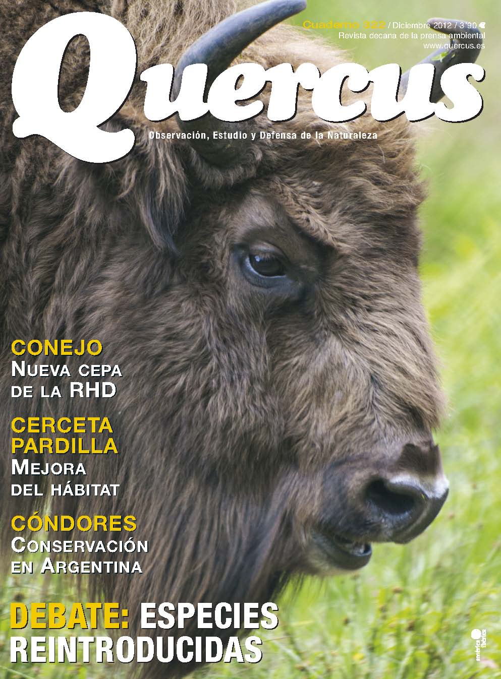 Click para ampliar Quercus 322