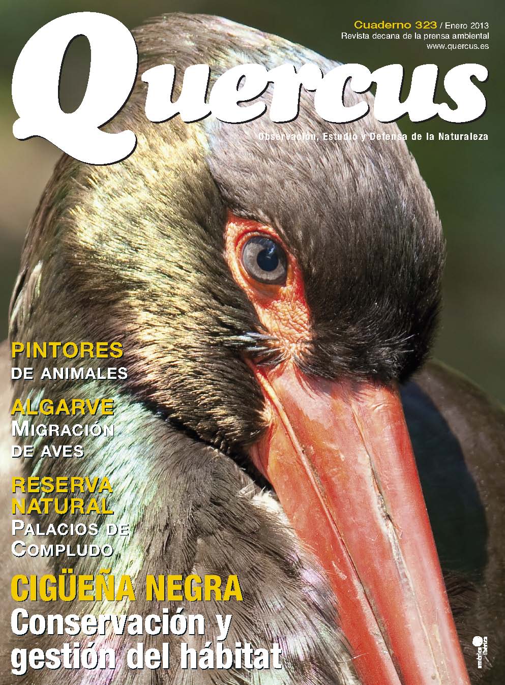 Click para ampliar Quercus 323