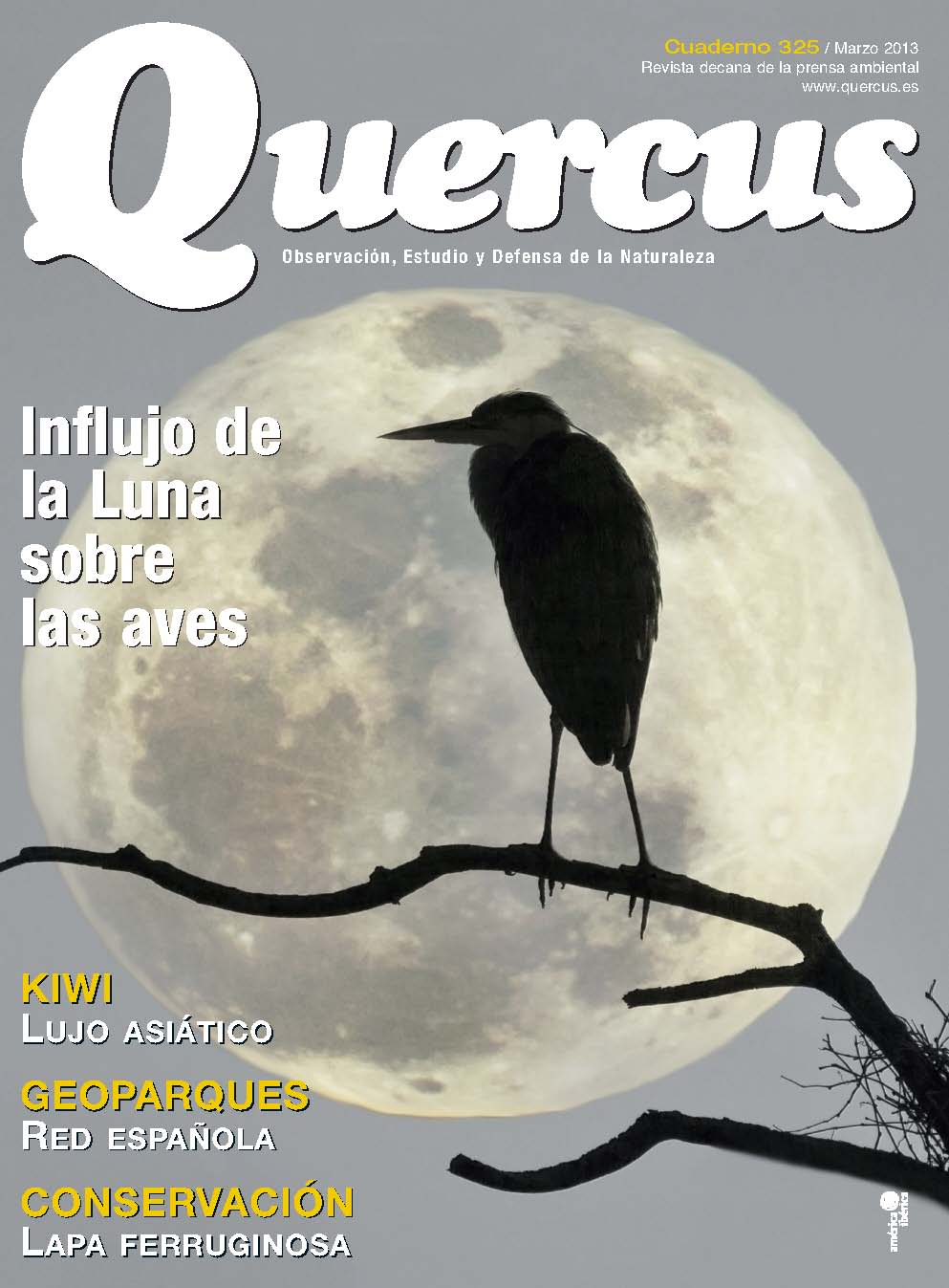 Click para ampliar Quercus 325