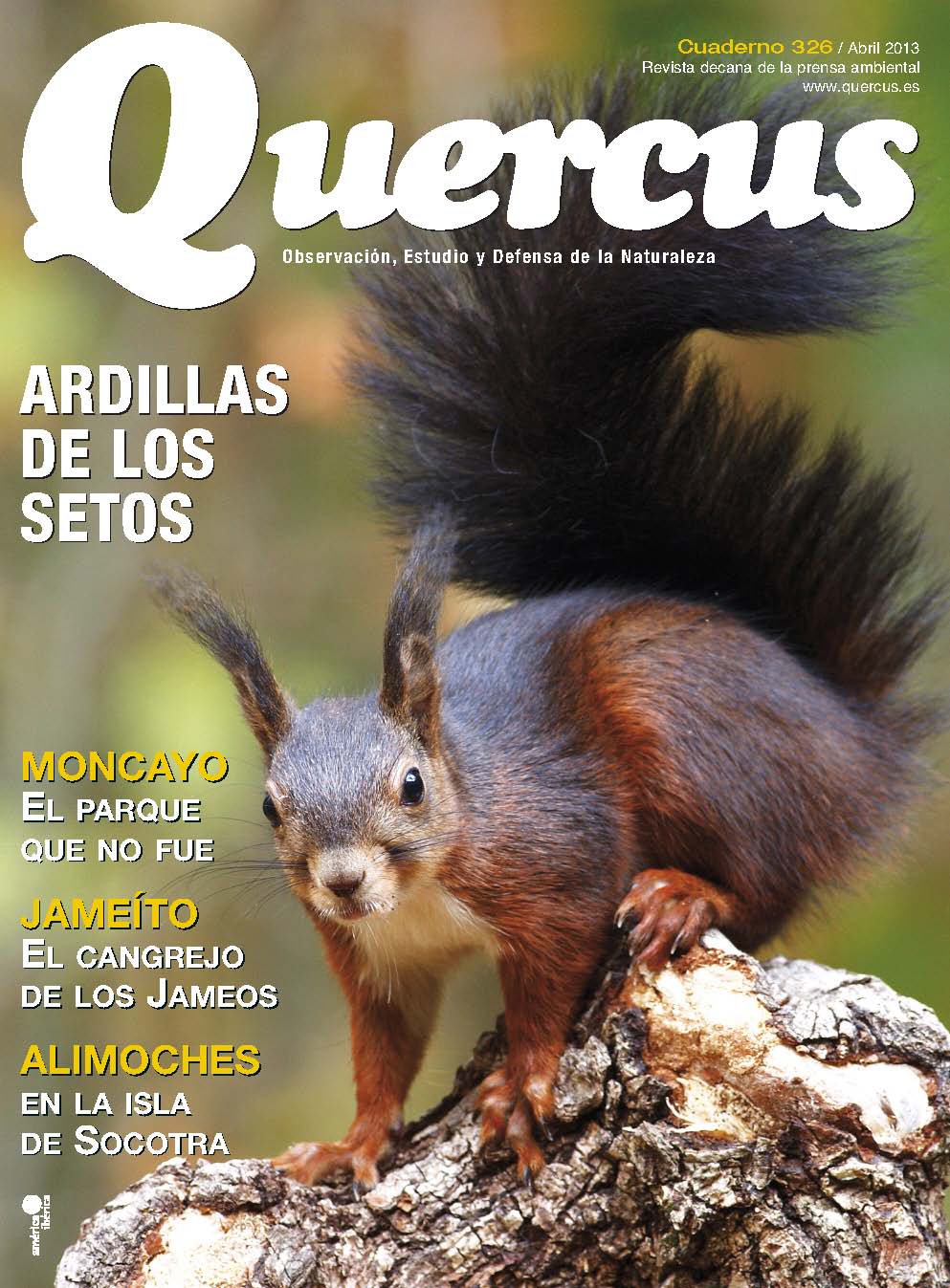 Click para ampliar Quercus 326