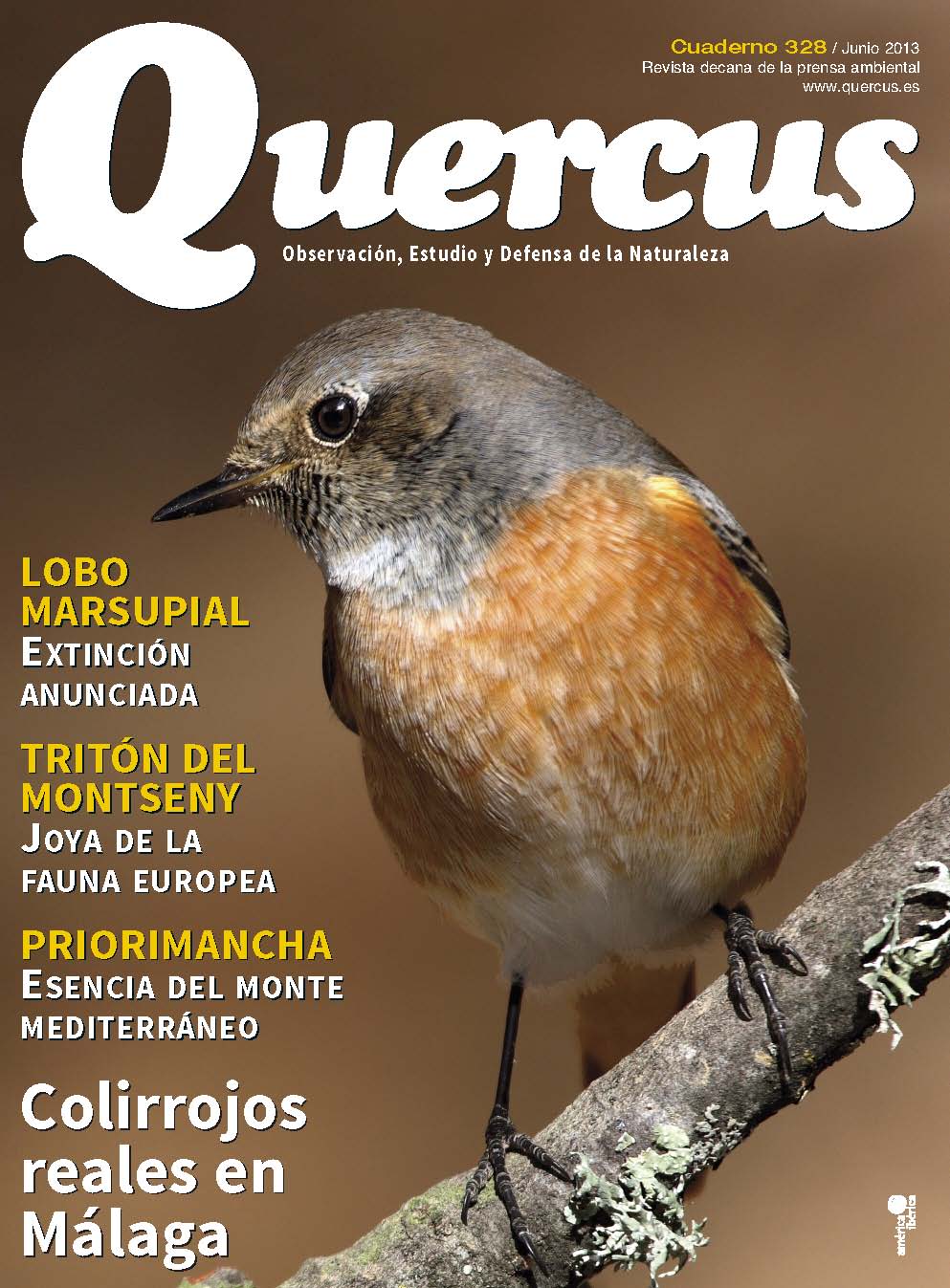 Quercus 328