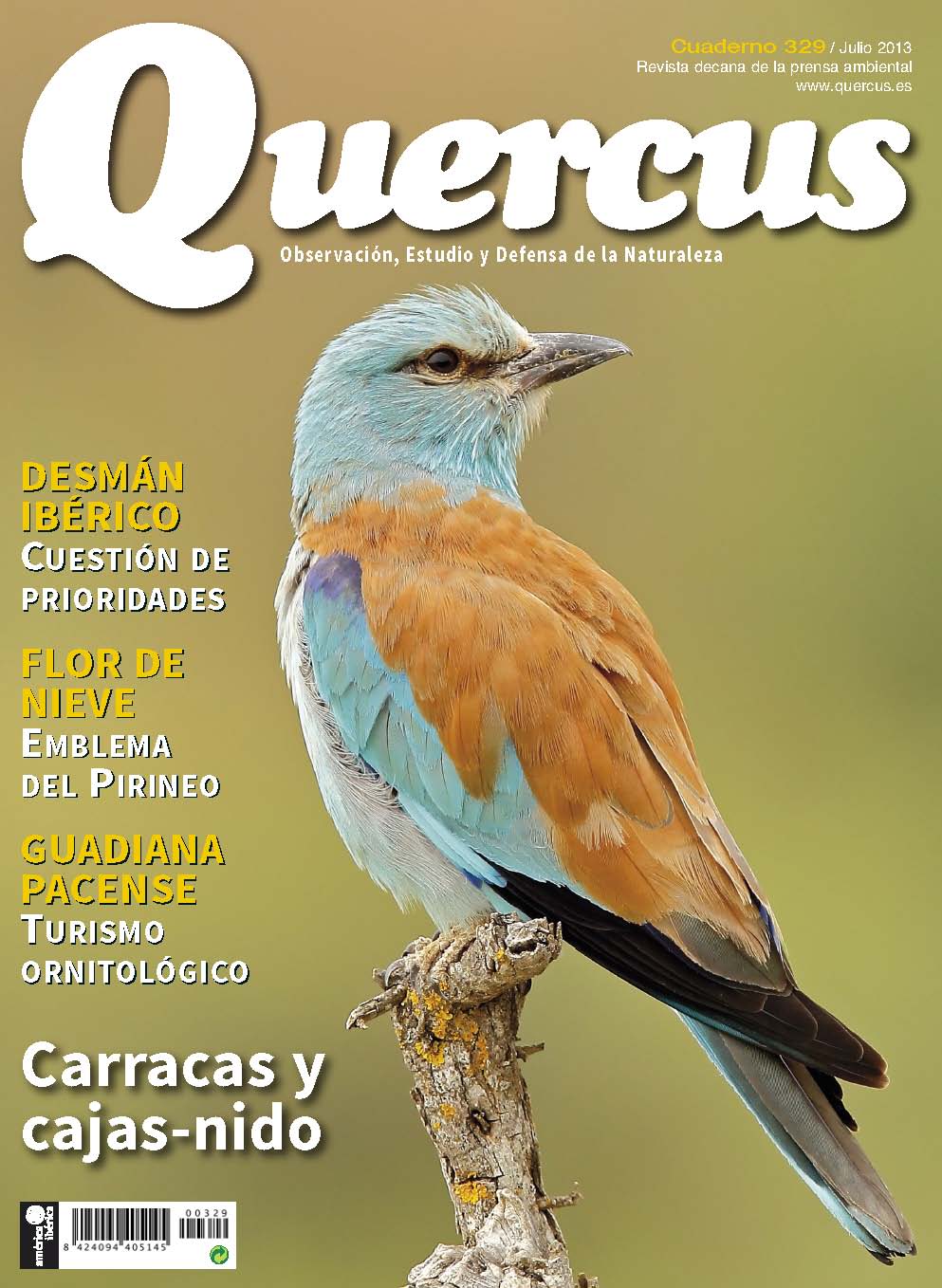 Click para ampliar Quercus 329