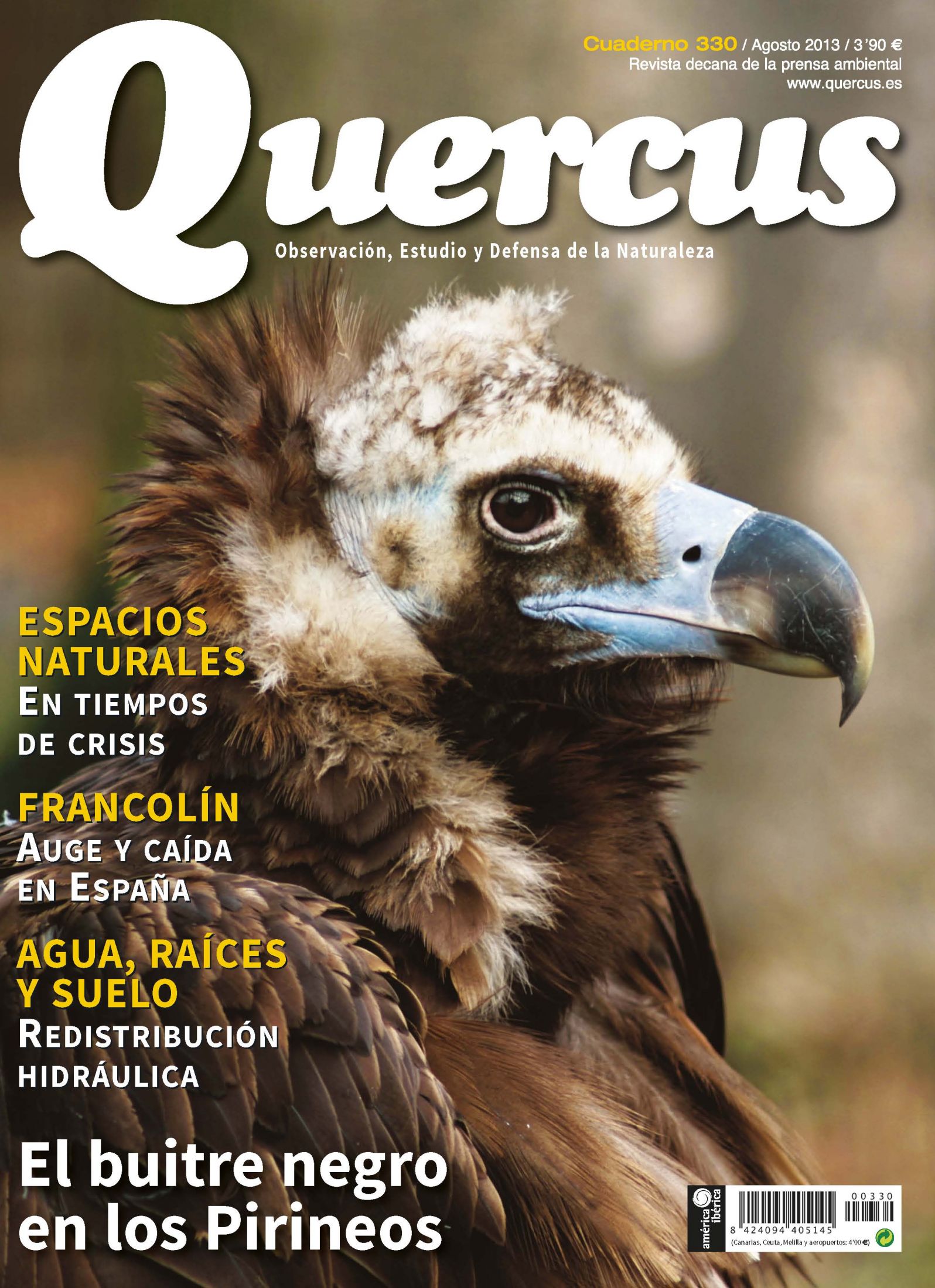 Click para ampliar Quercus 330