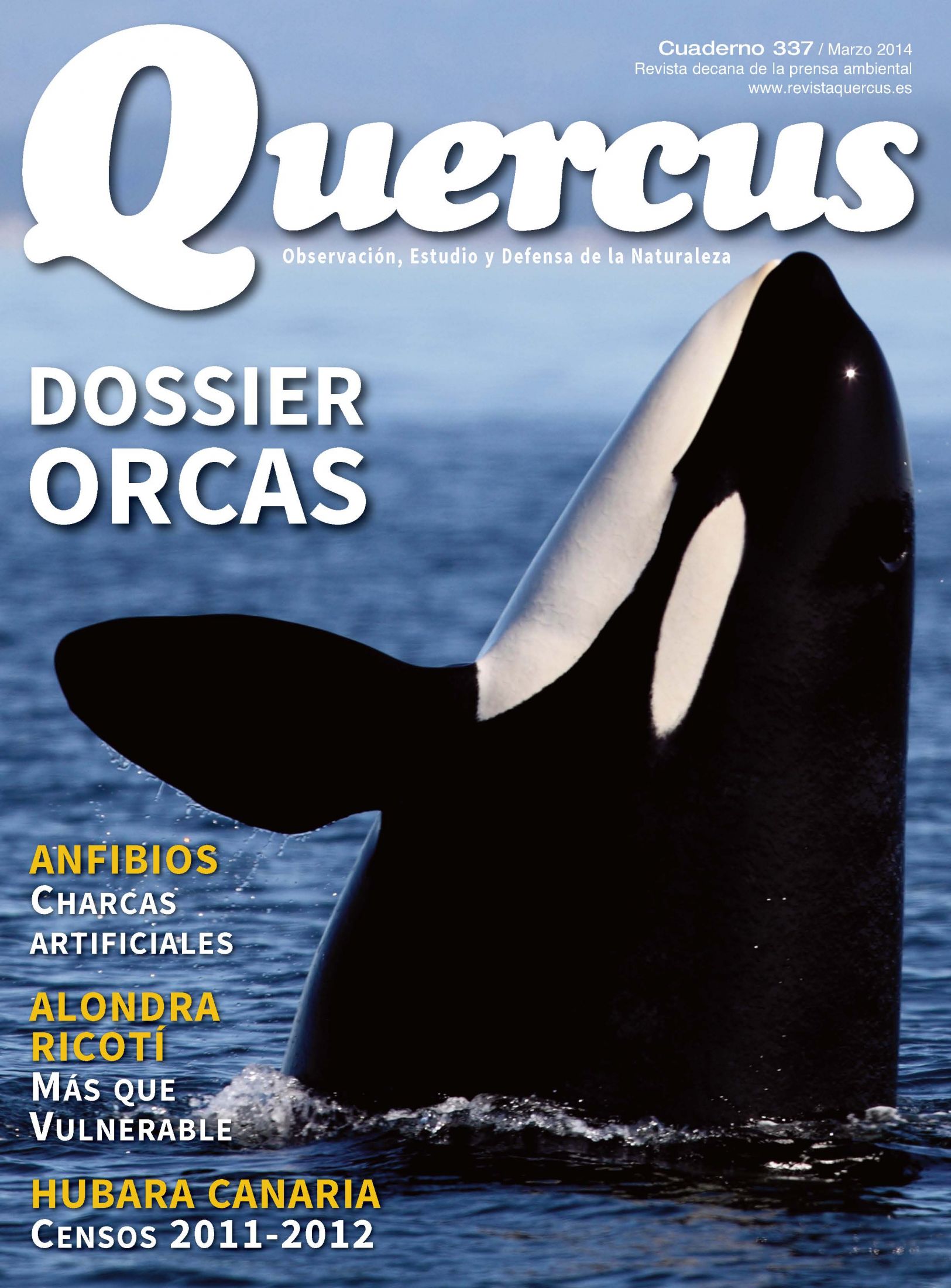 Click para ampliar Quercus 337