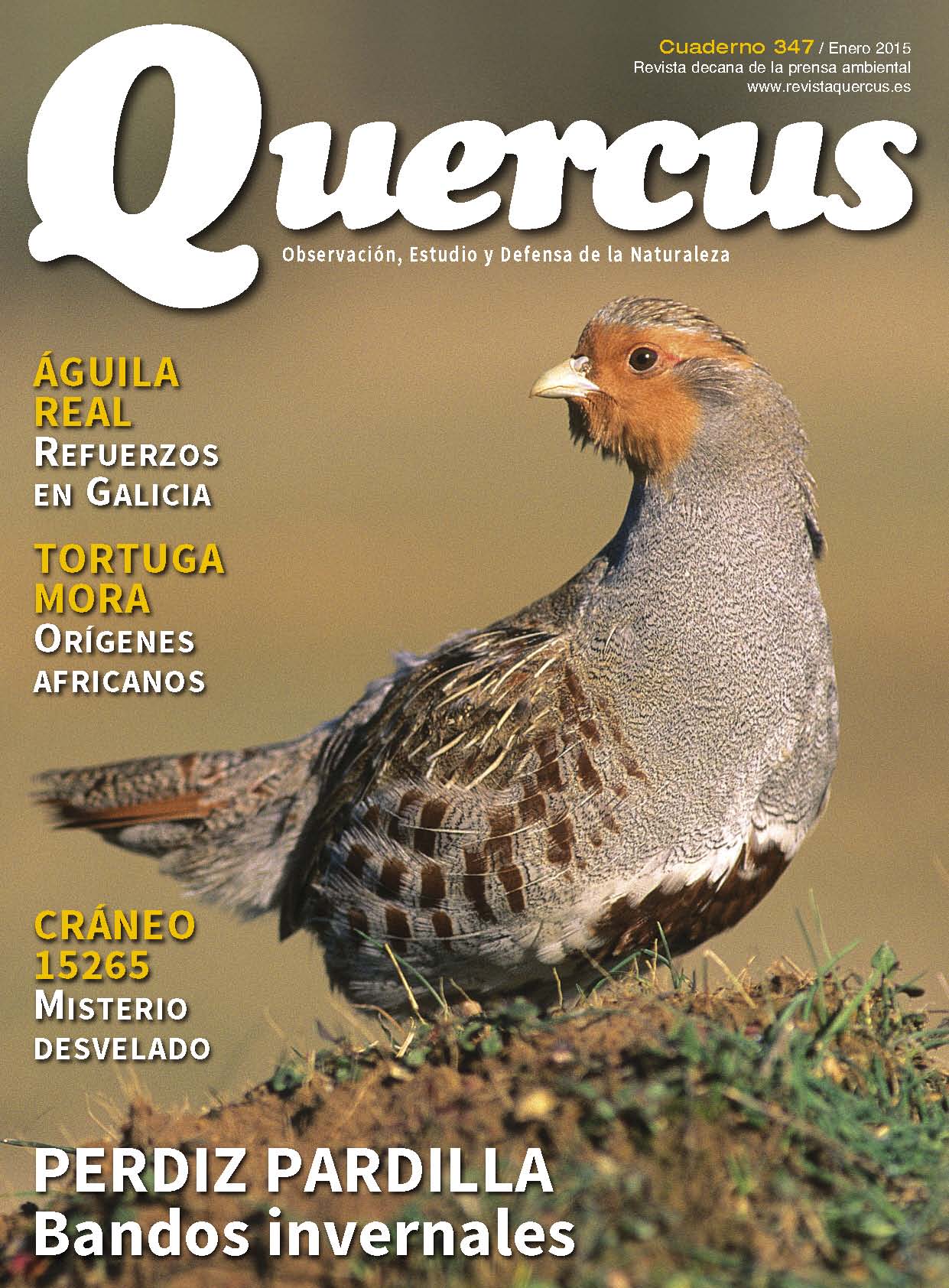 Quercus 347