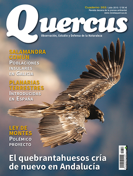 Quercus 353